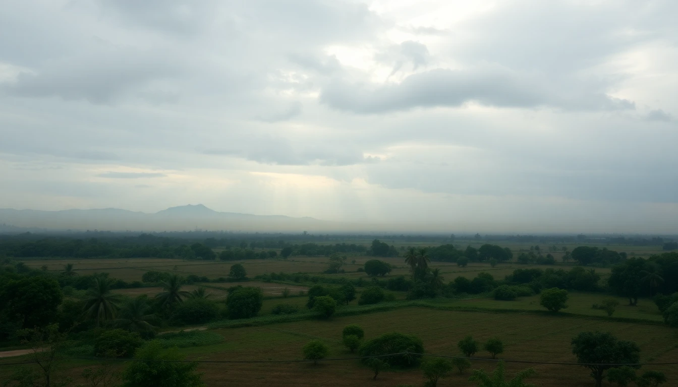 Why a hectare in Paraguay has no single market price