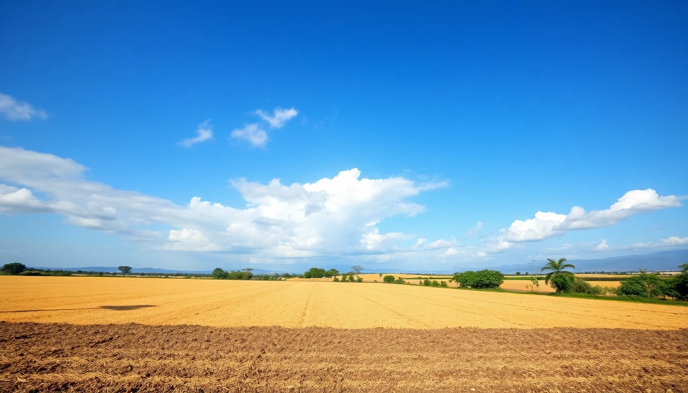Mercosur-EU agreement could expand Paraguayan exports but will require certification and traceability