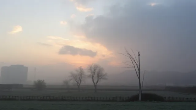 Cold air mass brings freezing mornings and frost risk to Paraguay