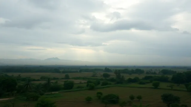 Why a hectare in Paraguay has no single market price